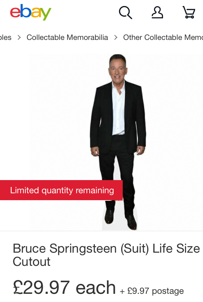 Springsteen ebay